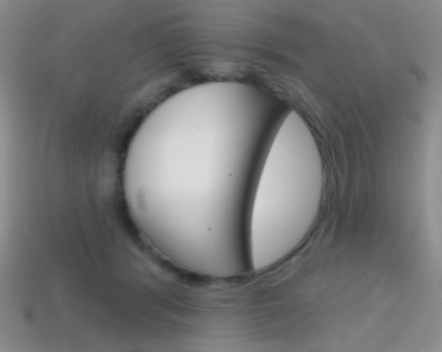 X0000114200416200910091052