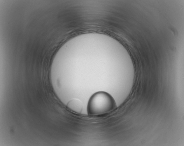 X0000114200417200910091052