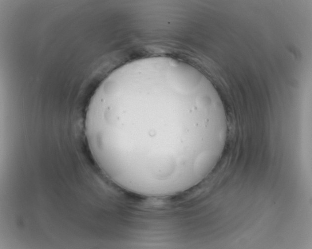 X0000114200418200910091052