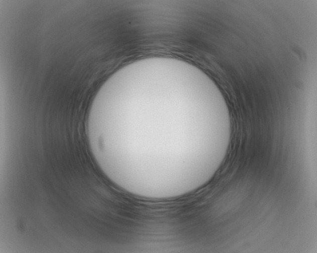 X0000114200419200910091052