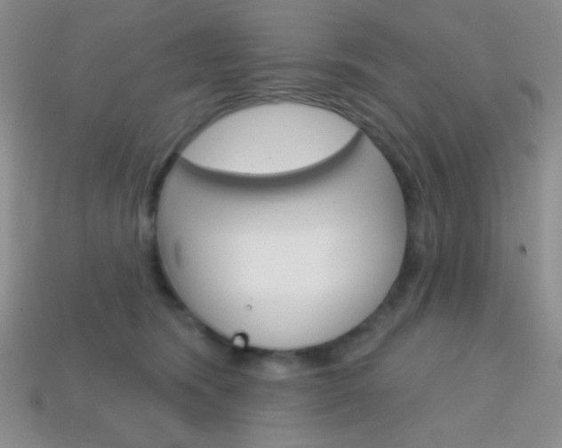 X0000114200420200910091052