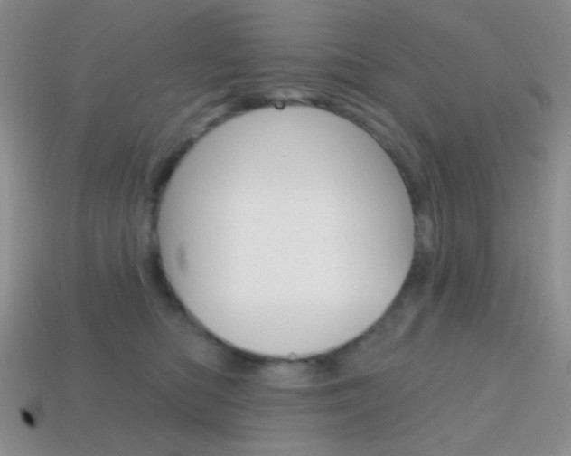 X0000114200422200910091052