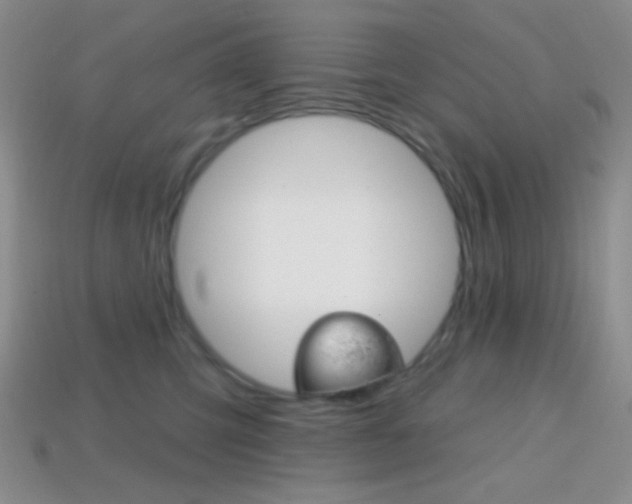 X0000114200423200910091052