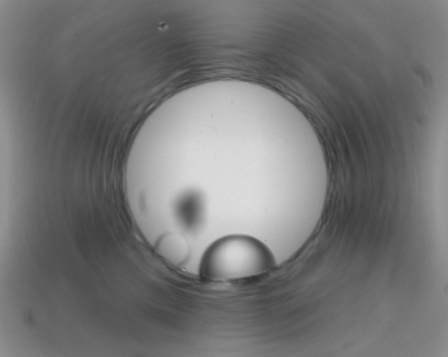 X0000114200425200910091052