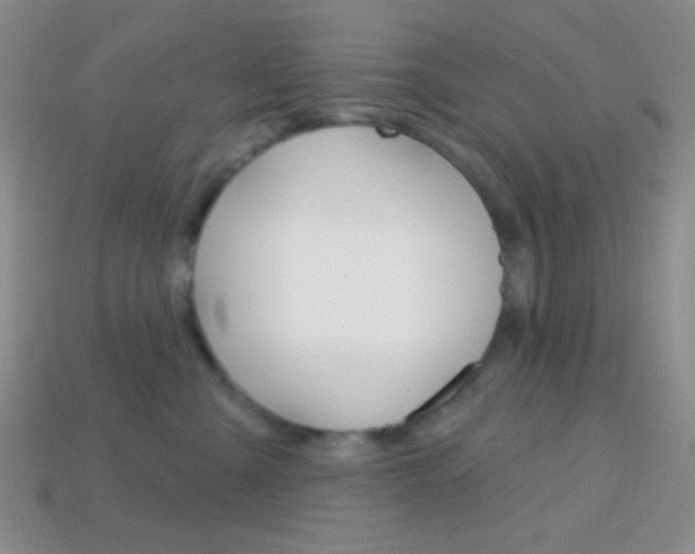 X0000114200427200910091052