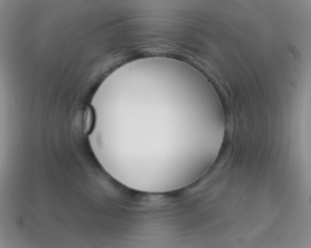 X0000114200428200910091052