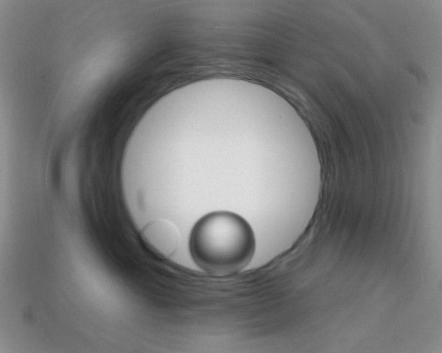X0000114200429200910091052