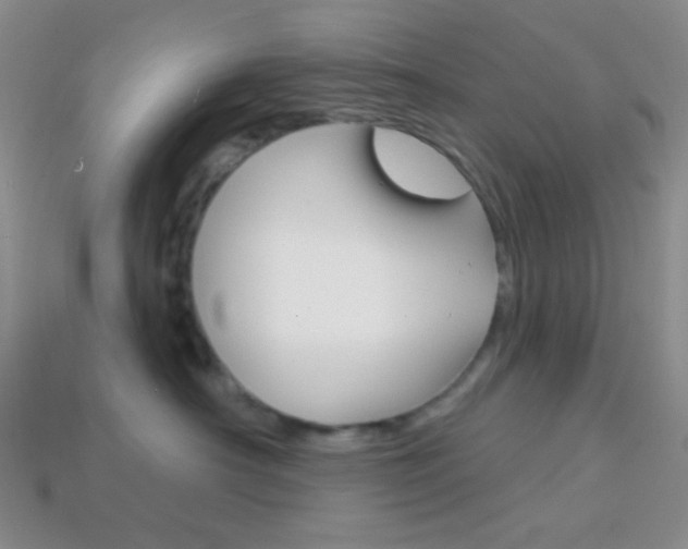 X0000114200430200910091052