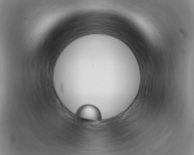 X0000114200431200910091052