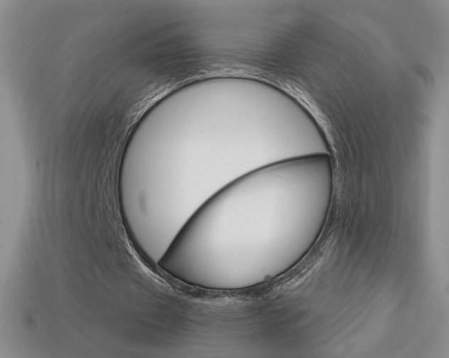 X0000114200433200910091051
