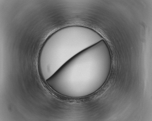 X0000114200434200910091051
