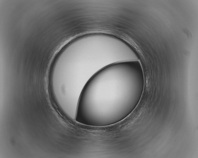 X0000114200436200910091051