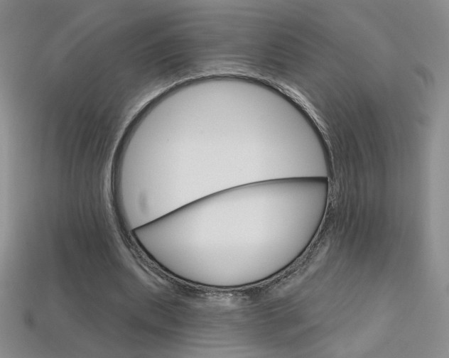 X0000114200439200910091052