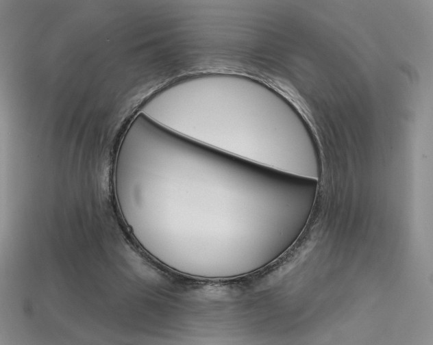 X0000114200441200910091052