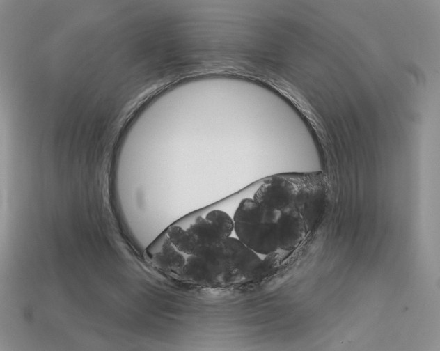X0000114200442200910091052