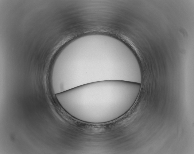 X0000114200443200910091052