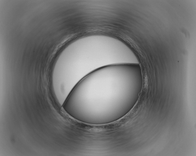 X0000114200444200910091052