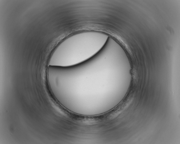 X0000114200445200910091052