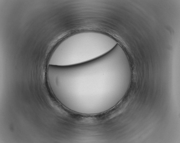 X0000114200446200910091052