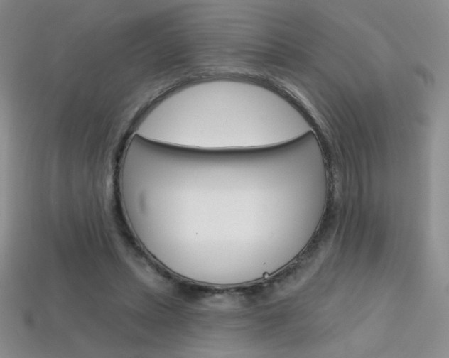 X0000114200447200910091052