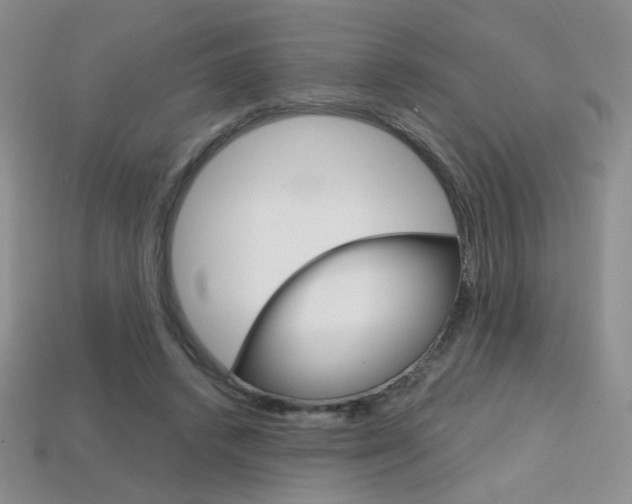 X0000114200448200910091052