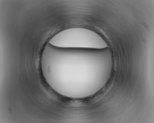 X0000114200451200910091052