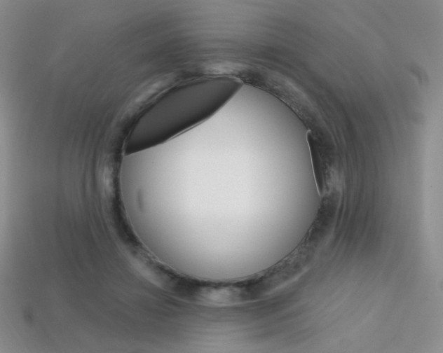 X0000114200452200910091052