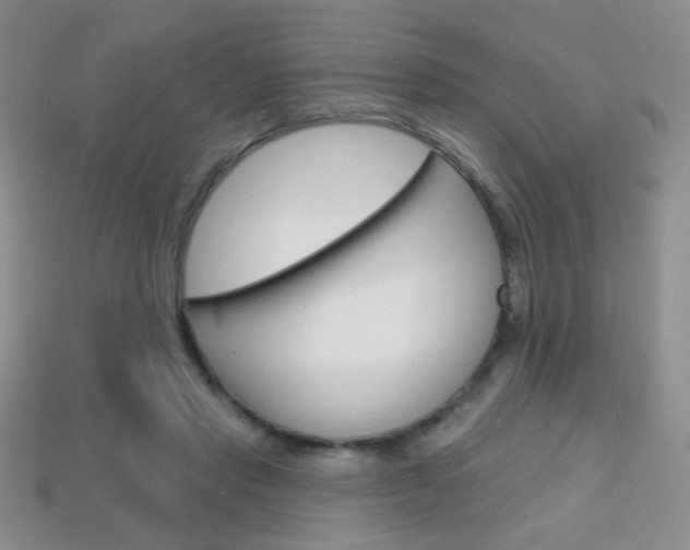 X0000114200453200910091052