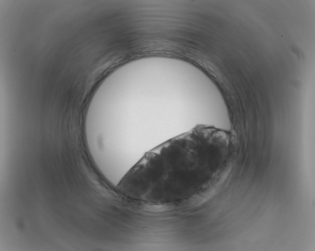 X0000114200454200910091052