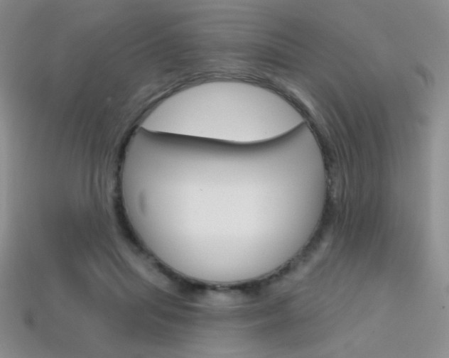 X0000114200455200910091052