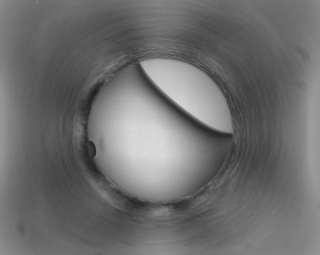 X0000114200456200910091052