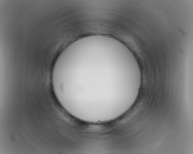 X0000114200457200910091052
