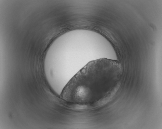X0000114200458200910091052