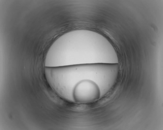 X0000114200459200910091052