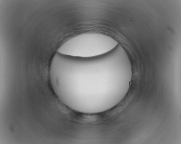 X0000114200469200910091052