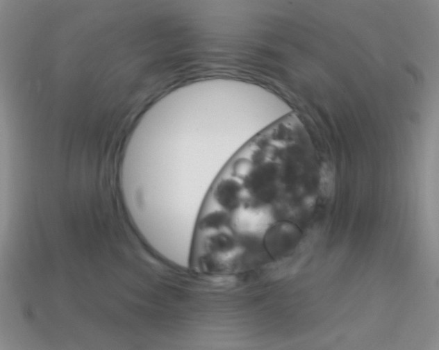 X0000114200474200910091052