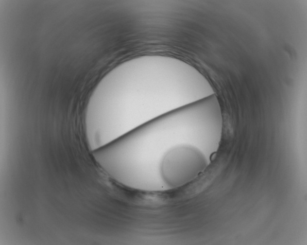 X0000114200475200910091052