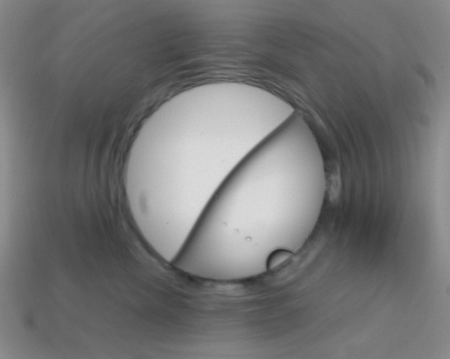 X0000114200476200910091052