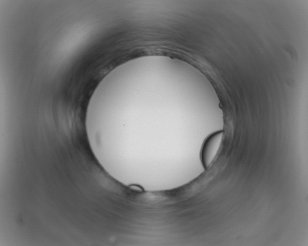 X0000114200477200910091052