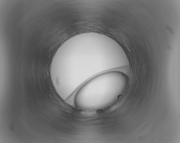 X0000114200480200910091052