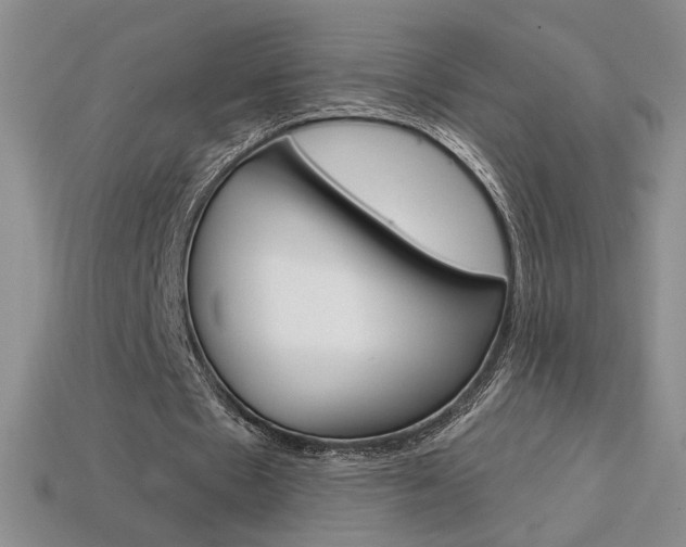 X0000114200481200910091051