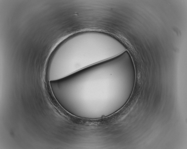 X0000114200484200910091051