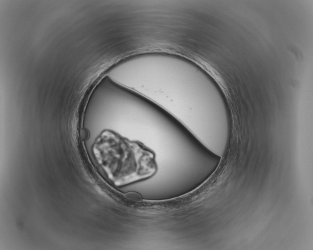 X0000114200485200910091051