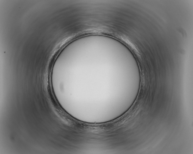 X0000114200486200910091051