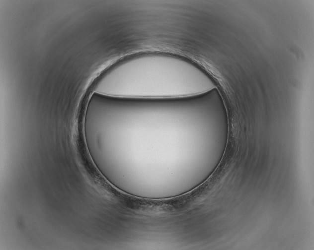 X0000114200488200910091051