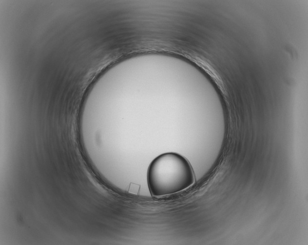 X0000114200489200910091051