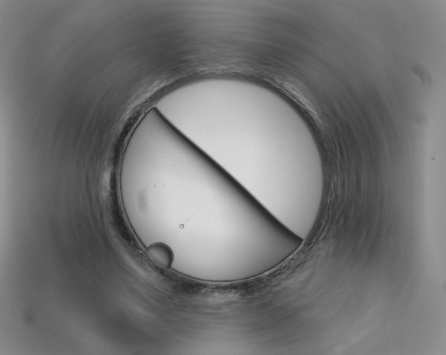 X0000114200491200910091051