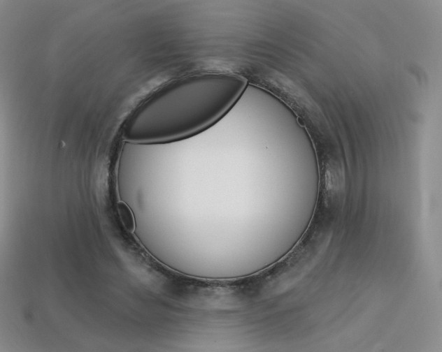 X0000114200492200910091051