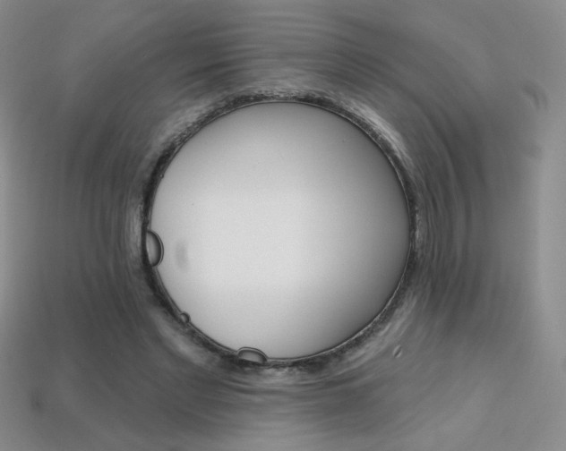 X0000114200493200910091051