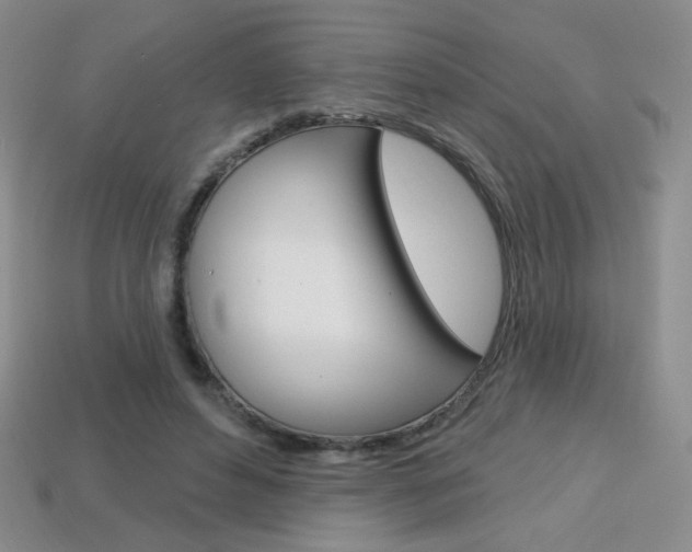 X0000114200496200910091051